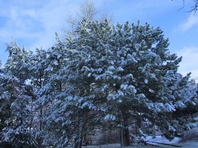 Прикрепленное изображение: 001a.jpg